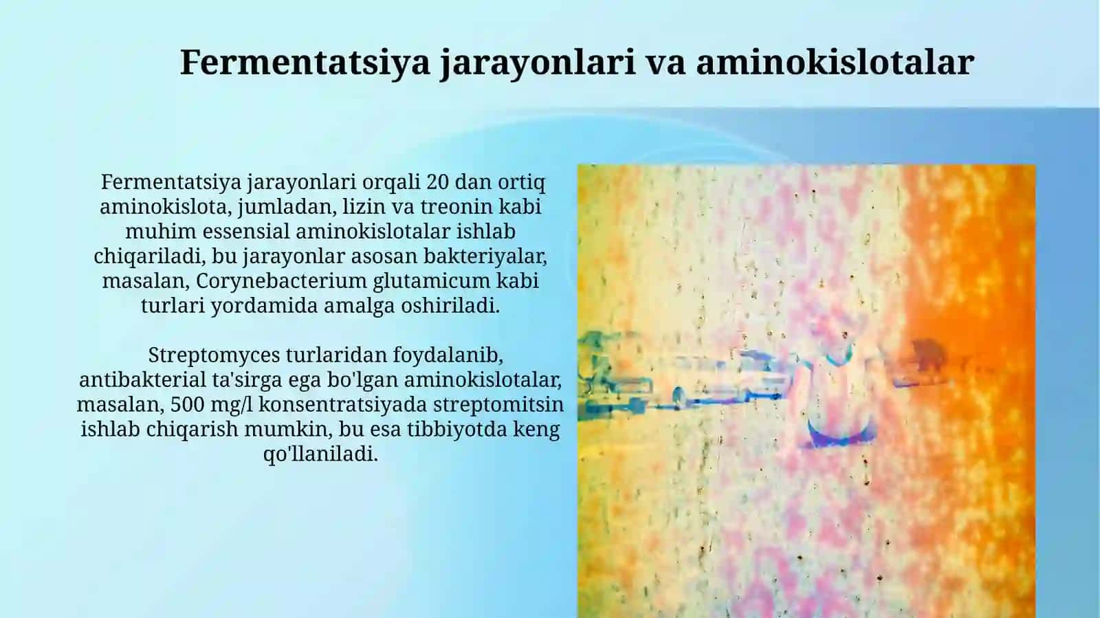 Aminokislotalarning ishlab chiqarishda ishtiroketuvchi mikroorganizmlar 4