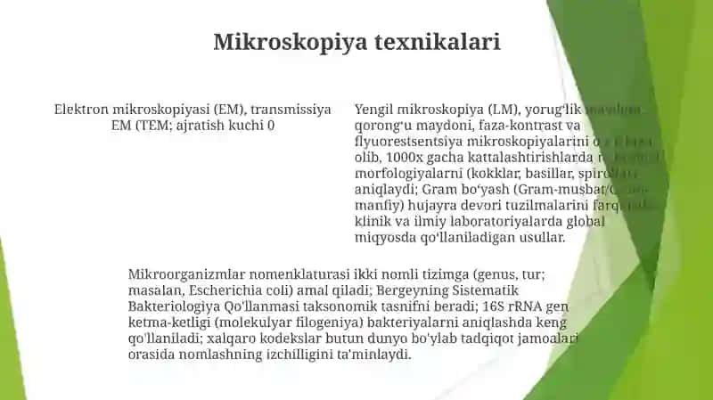 Mikroorganizmlar morfologiyasi va nomenklaturasi 4