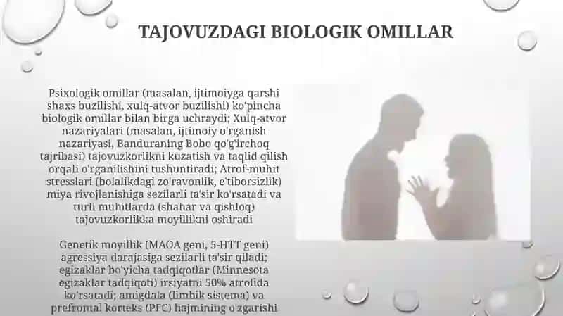 Ijtimoiy O'rganish Nazariyasi va Tajovuzkorlik 4