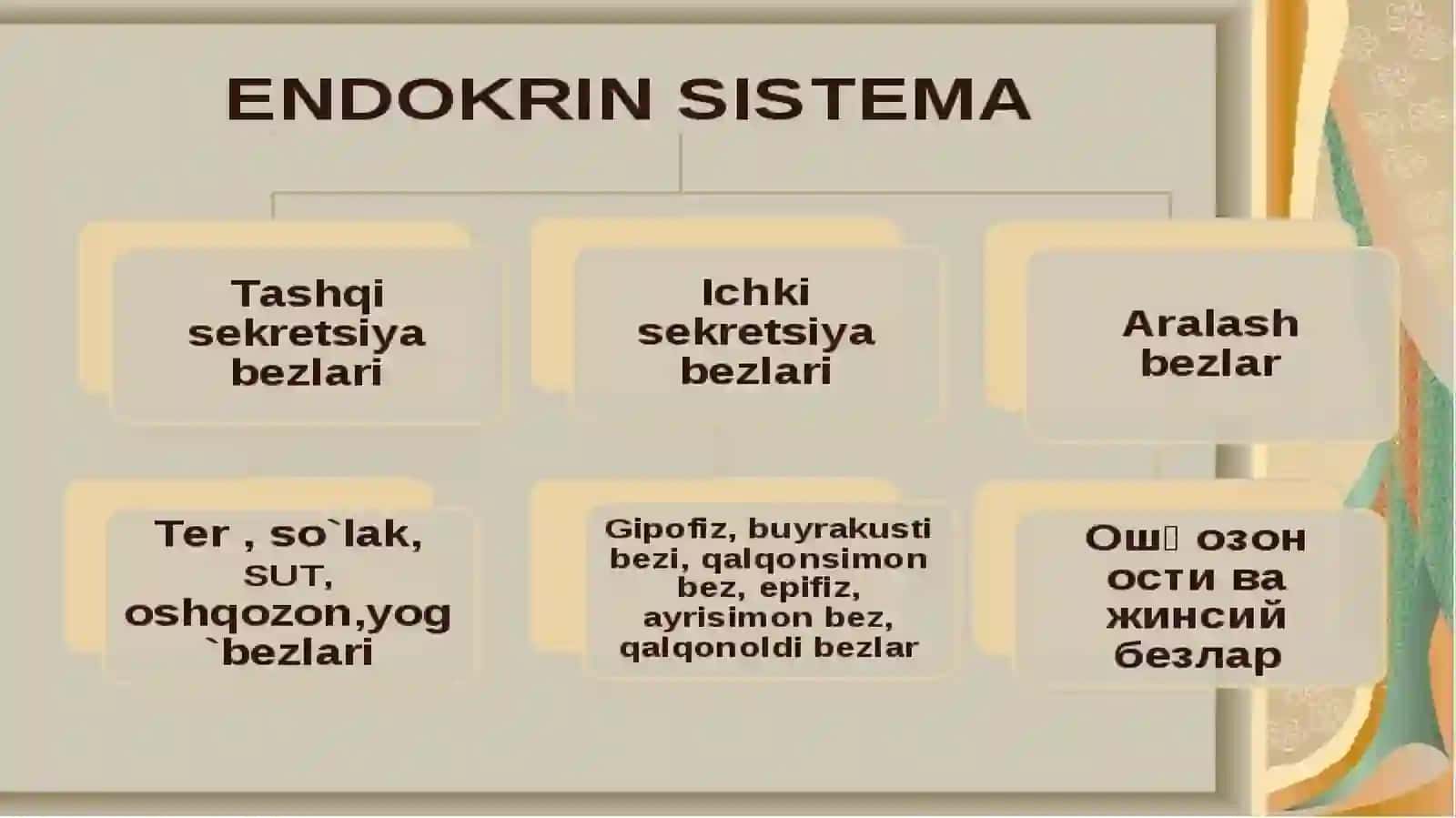 7-MA’RUZA. ICHKI SEKRETSIYA BEZLARINING YOSH XUSUSIYATLARI 4
