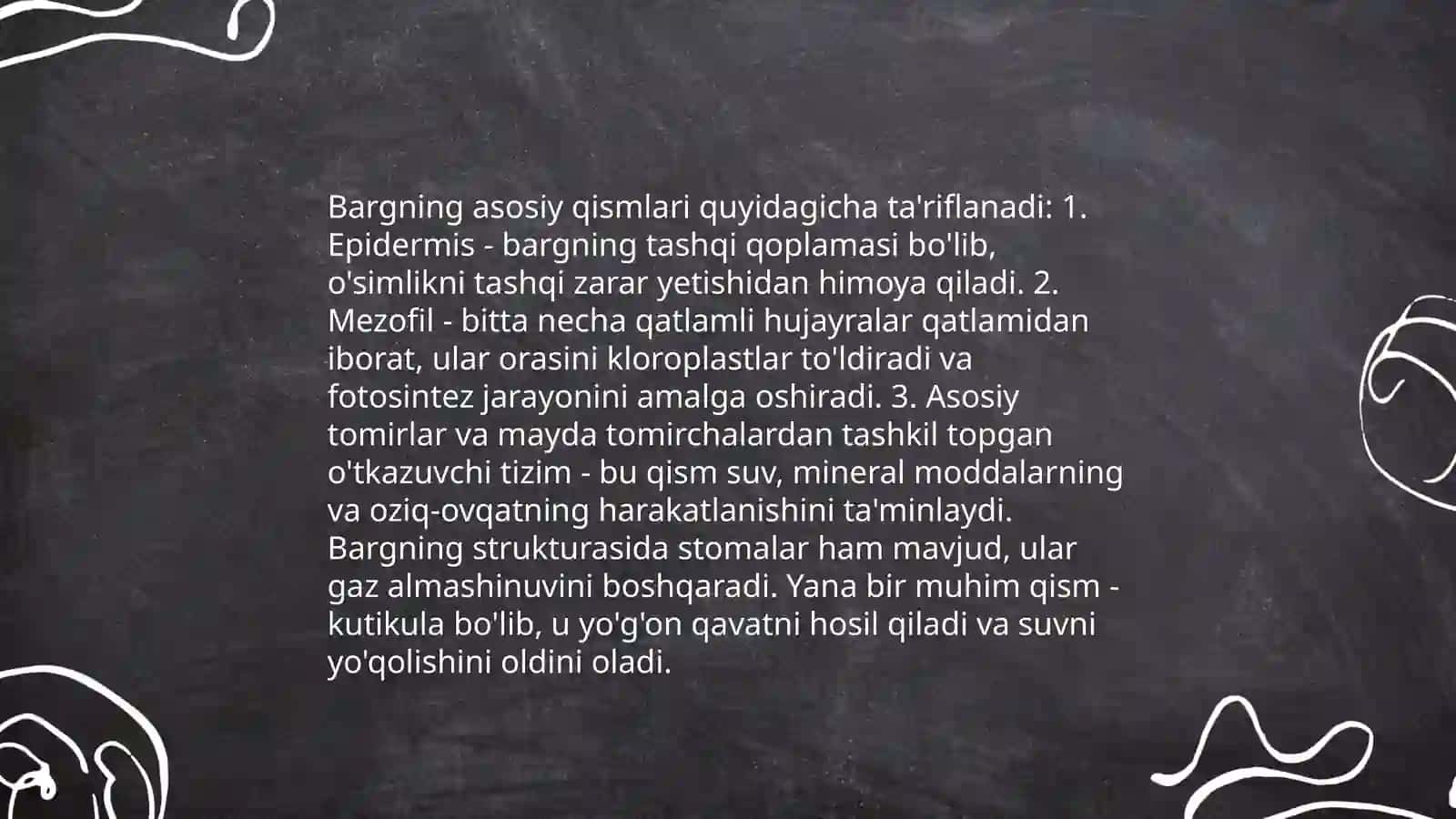 Barg va uning vazifalari 4