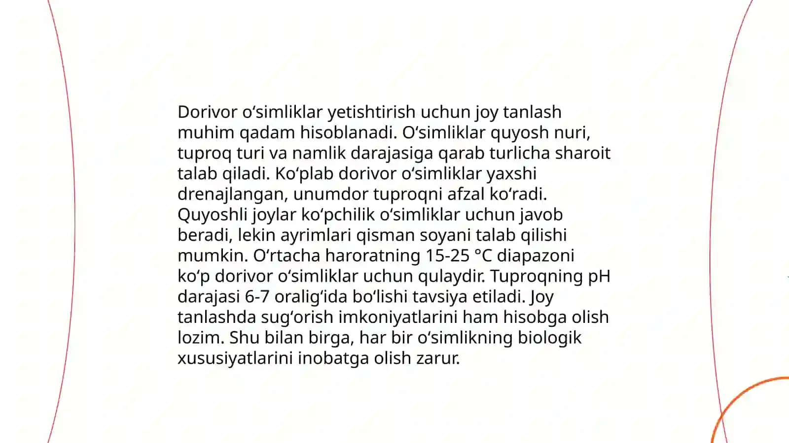 Dorivor oʻsimligini yetishtirish texnologiyasi Nozima 4