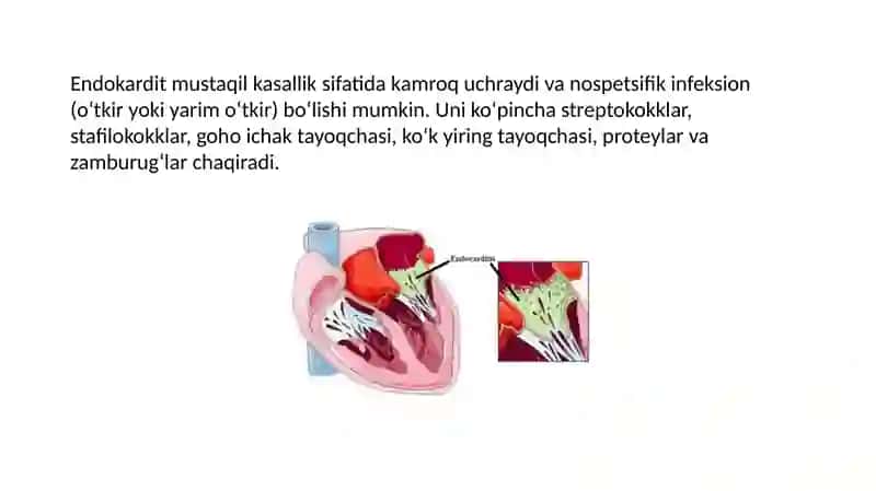 Infeksion endokardit 4