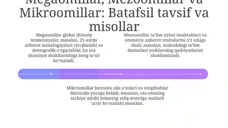 Ijtimoiy taʼsir oʻtkazish omillari 4
