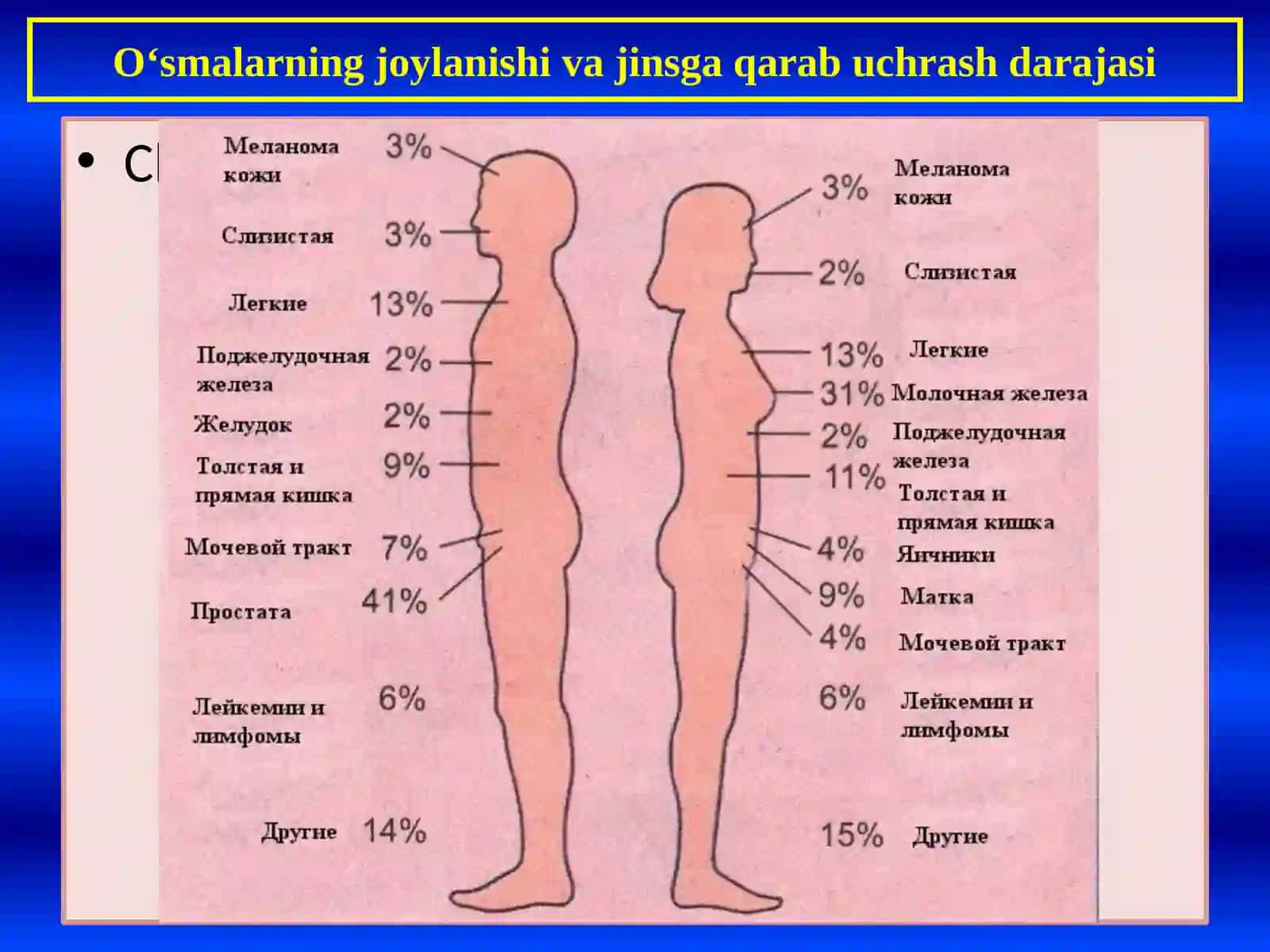 O‘SMALAR XAQIDA UMMIY TUSHUNCHA 4