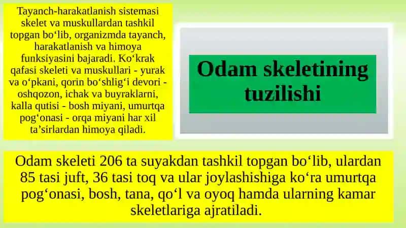 Tayanch-harakatlanish sistemasining rivojlanishi va jismoniy mehnatning ahamiyati 4