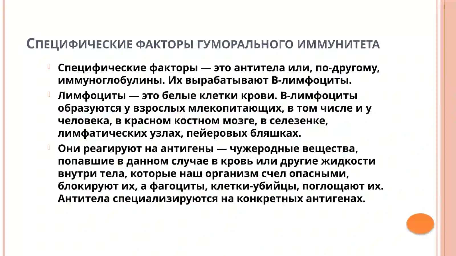 Гуморальный иммунный ответ 4