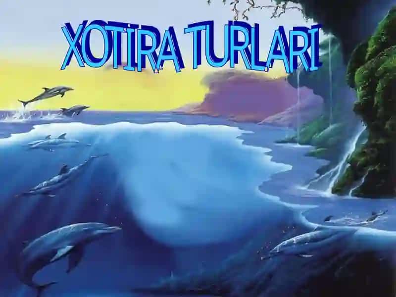Xotira 4