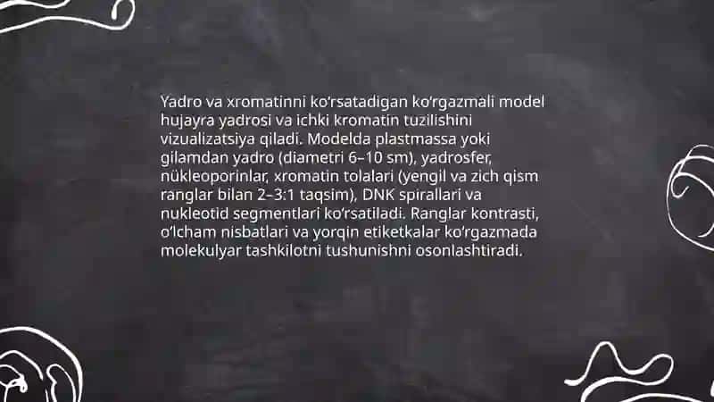 Sitologik hujayra tuzilishini 3D mulyaj tayyorlash 4