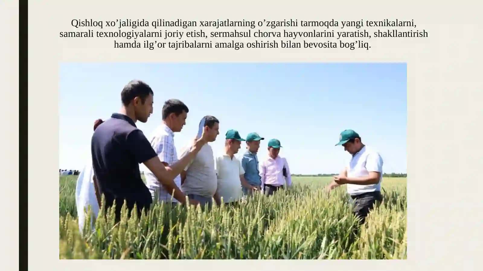 Tarmoqlar Buxgalteriyasi Fanidan Taqdimot 4