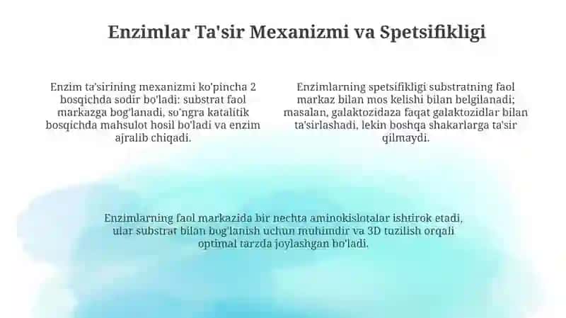 Enzimlar: Ta'rifi, Tuzilishi va Mexanizmlari 4