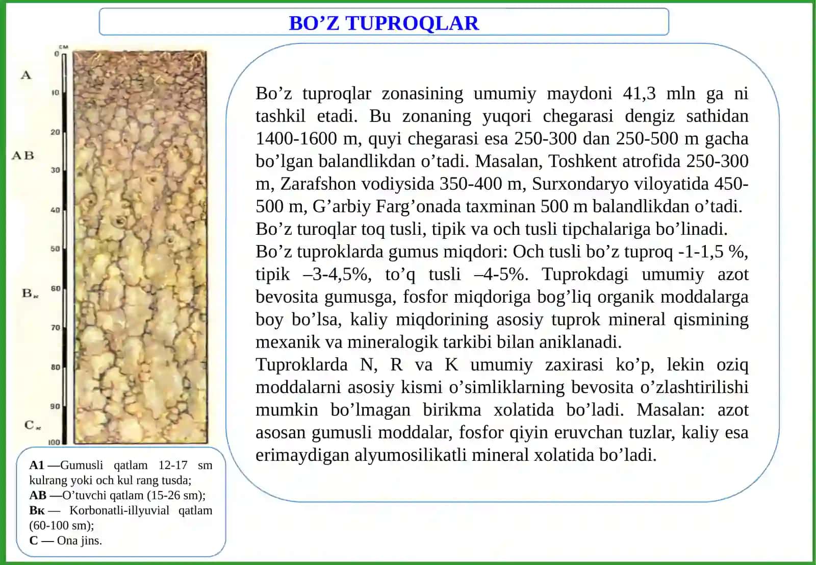 O‘SIMLIKLAR OZIQLANISHIDA TUPROQ TARKIBINING AHAMIYATI VA SINGDIRISH QOBILIYATLARINI O’RNI 4