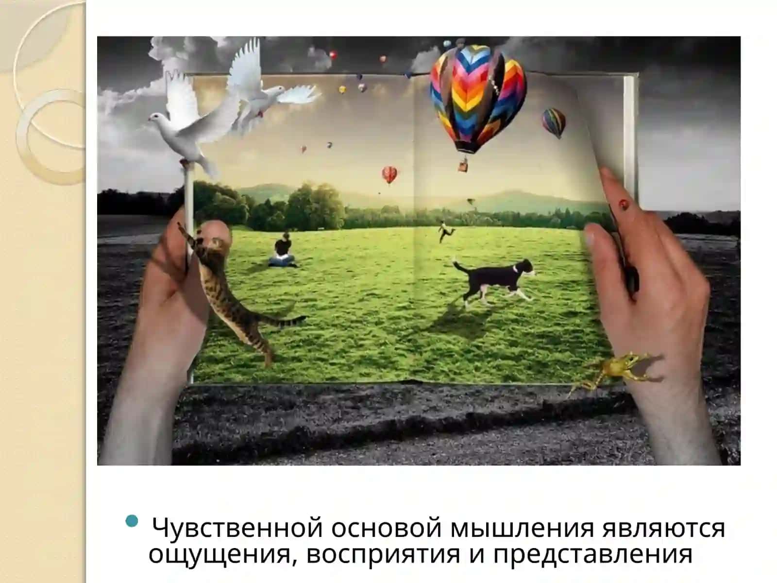 МЫШЛЕНИЯ – В СИСТЕМЕ ПОЗНАВАТЕЛЬНЫХ ПРОЦЕССОВ. МЫШЛЕНИЕ И СОЗНАНИЕ 4