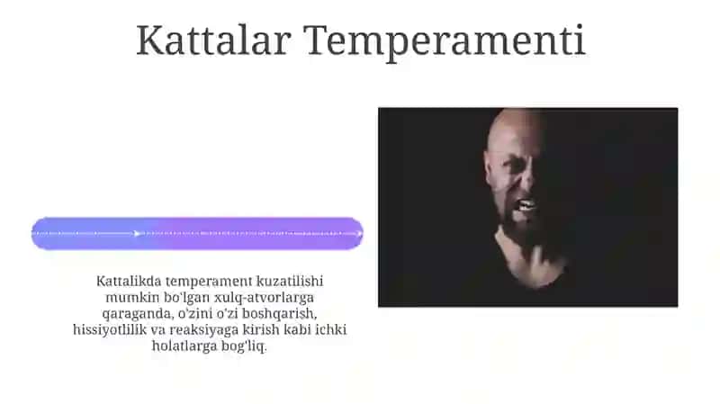 Temperamentning psixologik tavsifi 4