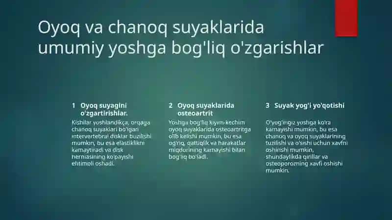 Chanoq va oyoq suyaklarining anatomiyasi 4