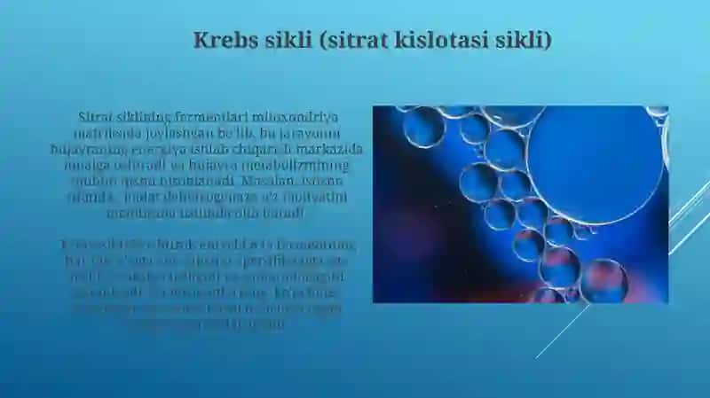 Biologik oksidlanish 4