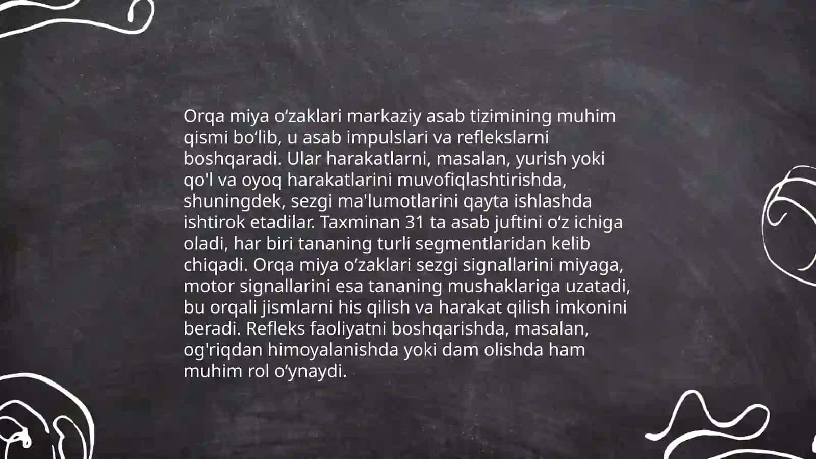 Orqa miya oʻzaklarining anatomik tuzilishi 4