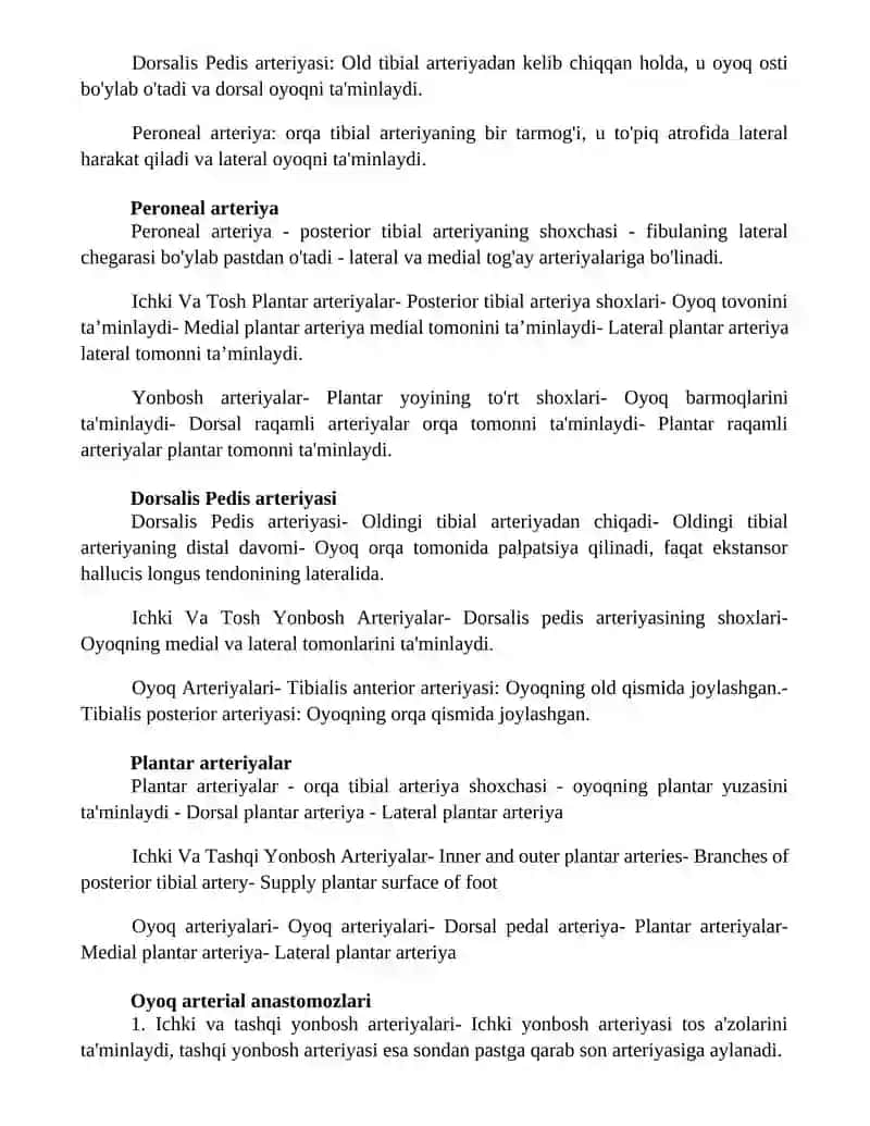 Ichki Va Tashqi, Yonbosh Arteriyalar 4