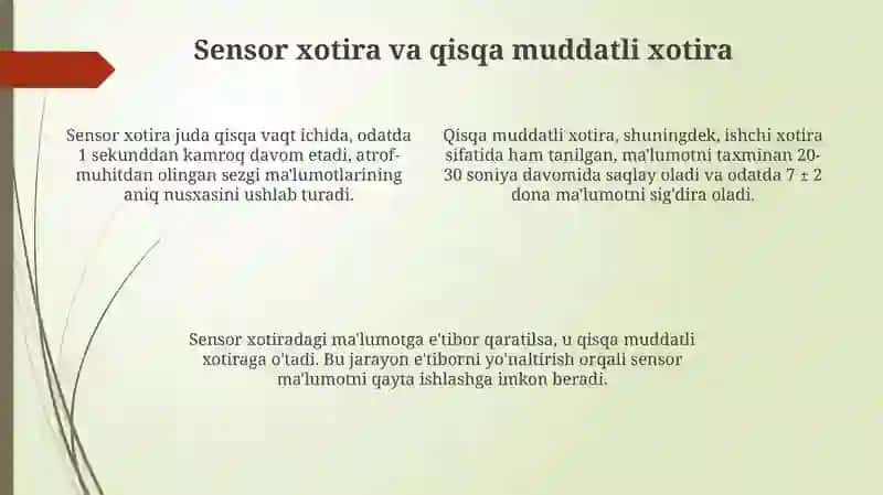 Xotira turlari va uning jarayonlari 4