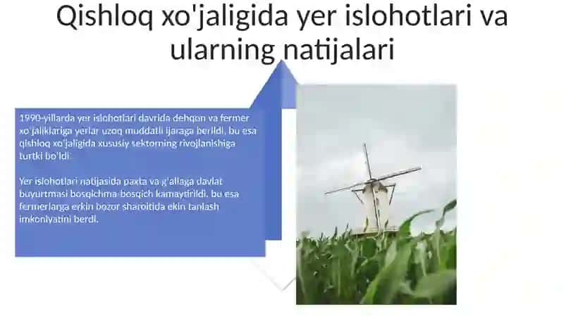 Mustaqillik Yillarida O'zbekistonda Qishloq Xo‘jaligi va Sanoatdagi O‘zgarishlar 4