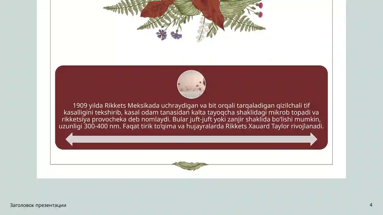 Patogen rikketsiyalar 4