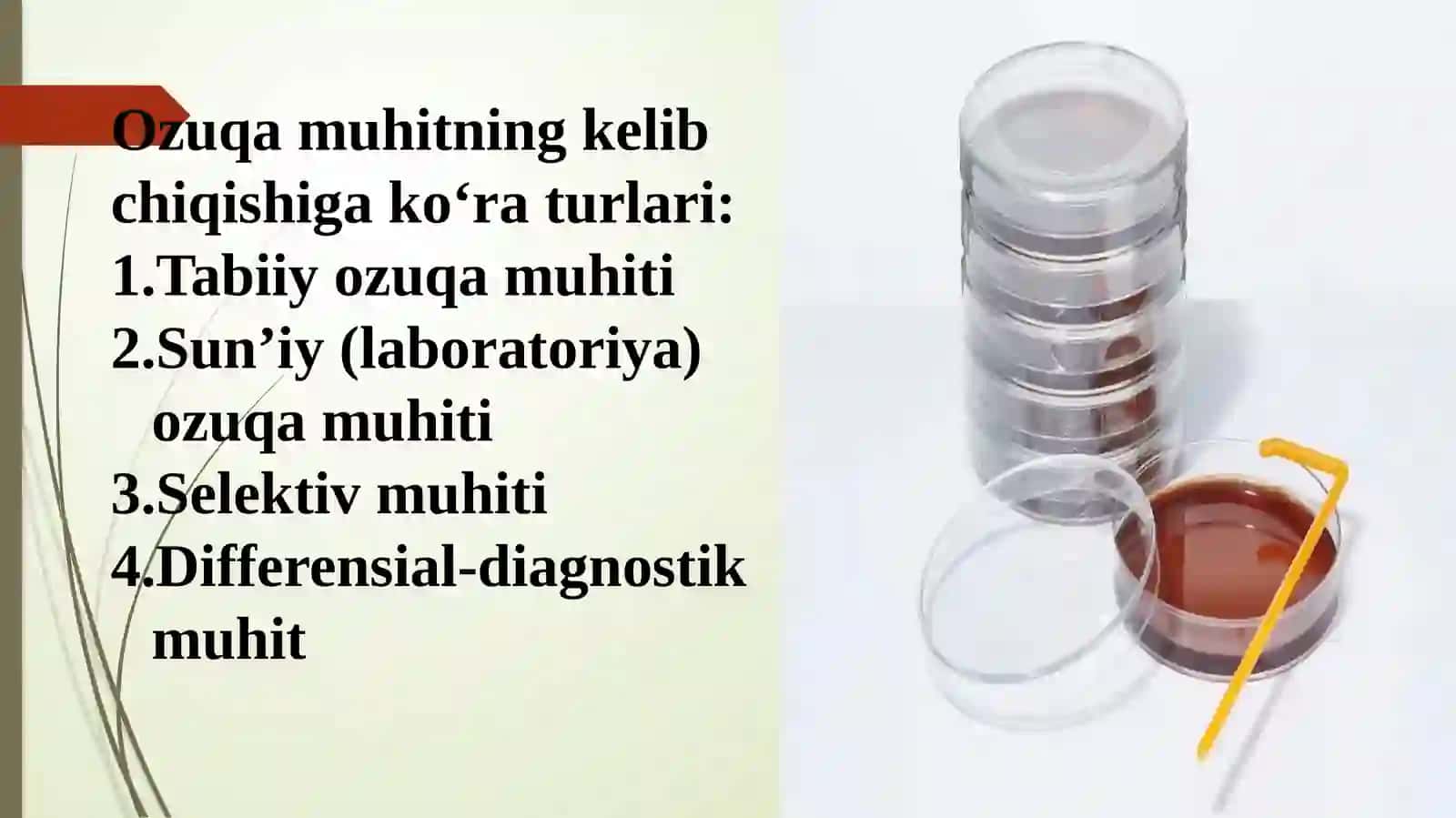 Ozuqamuhitlari,tasnifivaungaqo’yilgantalablar 4
