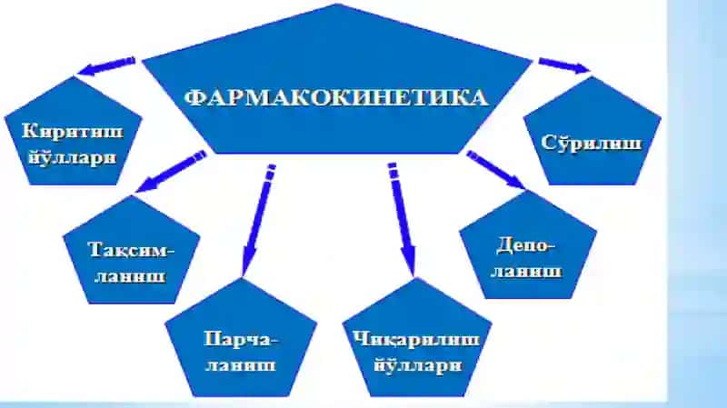 Умумий Фармакология.Фармодинамика ва Фармокинетика 4