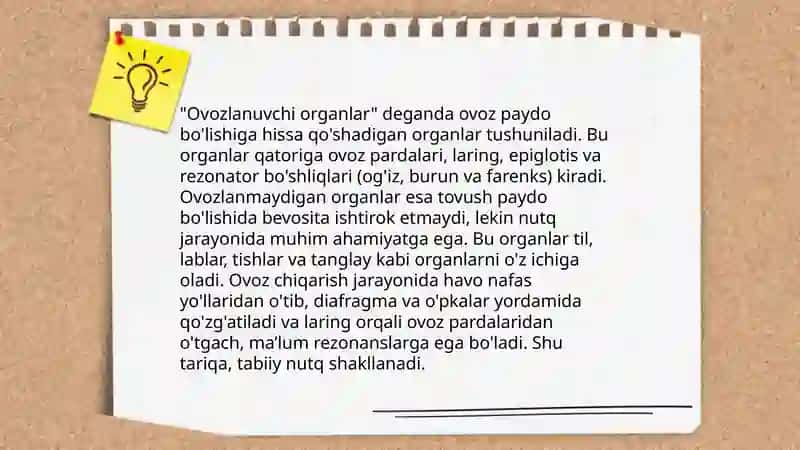 Inson nutq organlari haqida asosiy tushuncha 4
