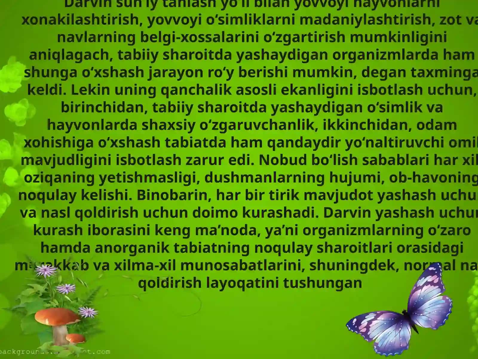 EVOLYUTSION TA`LIMOT12 4