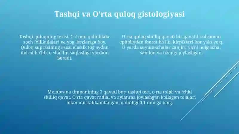 Sezgiaʼzolari.Quloqgistologiyasi 4