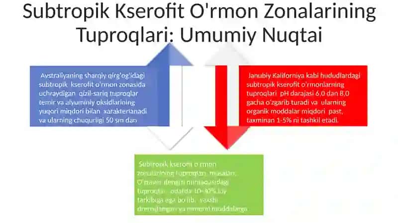 Subtropik-kserofit o'rmon oblast tuproqlari 4