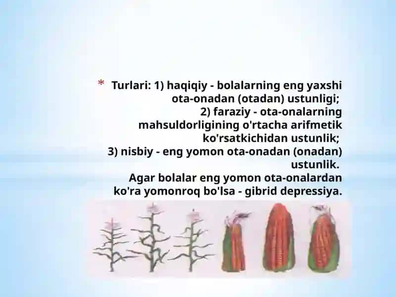 Geterezis 4