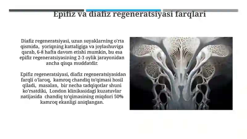 Suyak Hujayralarining Reparativ Regeneratsiyasi Mexanizmlari 4