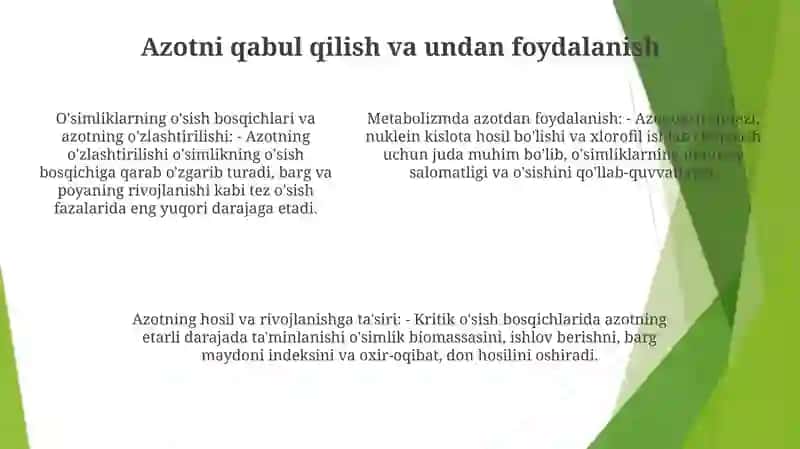 Azotning OʻSimliklarni Rivojlanish Davrlari Va Hosiliga TaʼSiri 4
