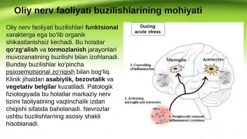 Oliy nerv faoliyati buzilishi. Nevrozlar 4