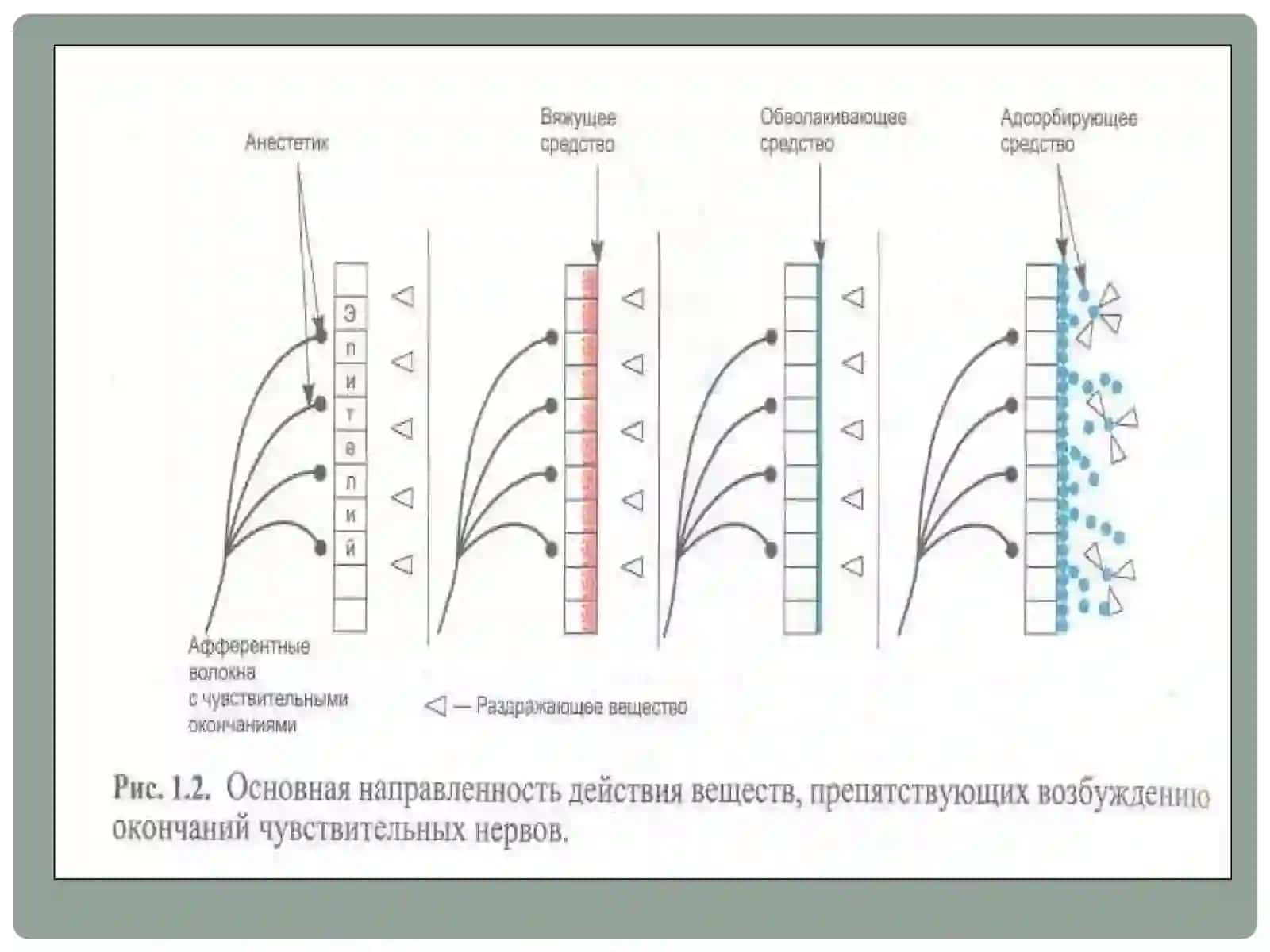 Асаб системасига таъсир этувчи дори (нейротроп) воситалар 4