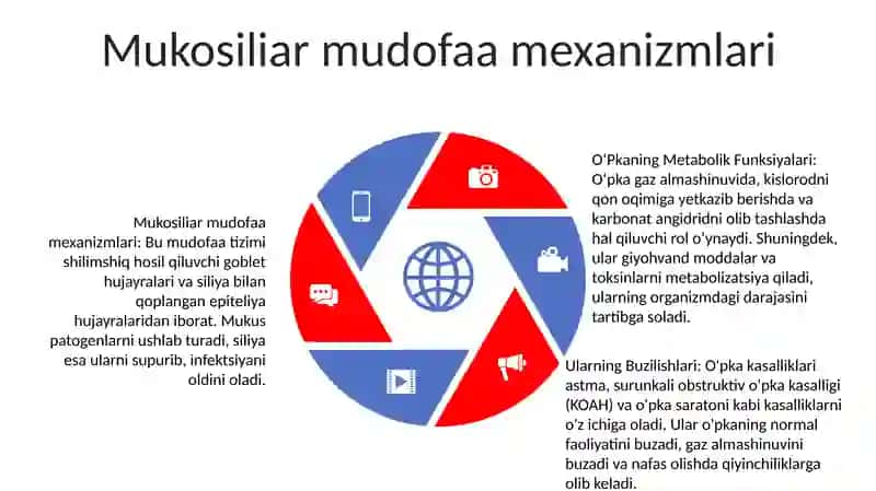 O'Pkaning Metabolik Funksiyalari Va Ularning Buzilishlari 4