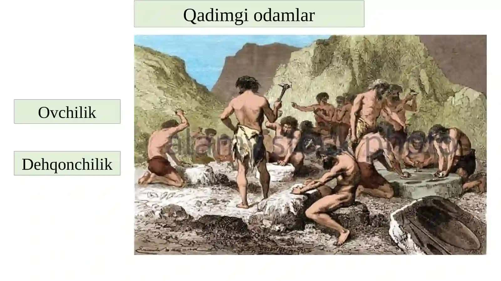 Axborot Tizimlari faniga kirish 4