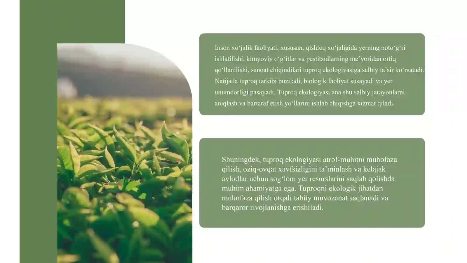 TUPROQ EKOLOGIYASI, YER HAQIDAGI QONUNLAR,QARORLAR VA TUPROQ MUHOFAZASI 4
