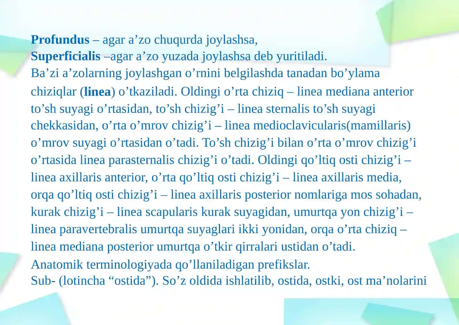 ANOTOMIK IBORALARNI TASNIFI 4