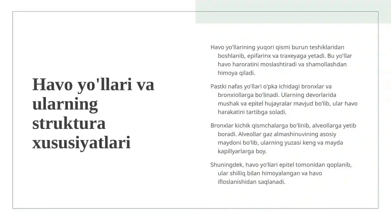 Nafas olish sistemasining fizikasi 4