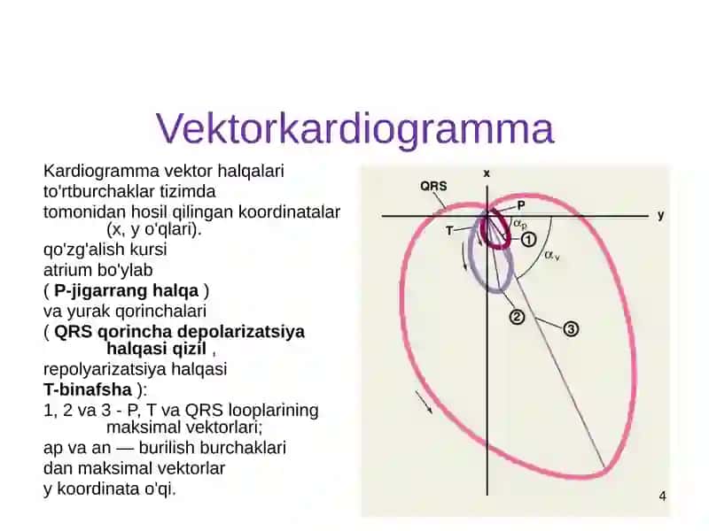 Biotibbiy signallar va ularni qayta ishlash usullari 4