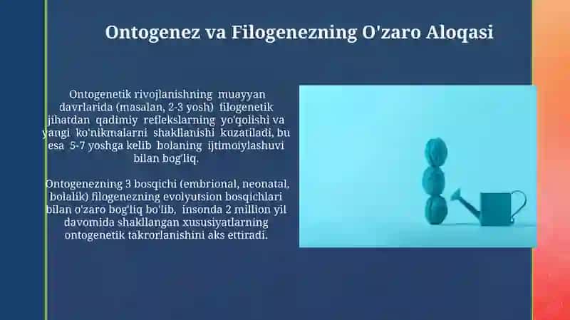 Ontogenez psixologiyasining rivojlanish tarixi 4