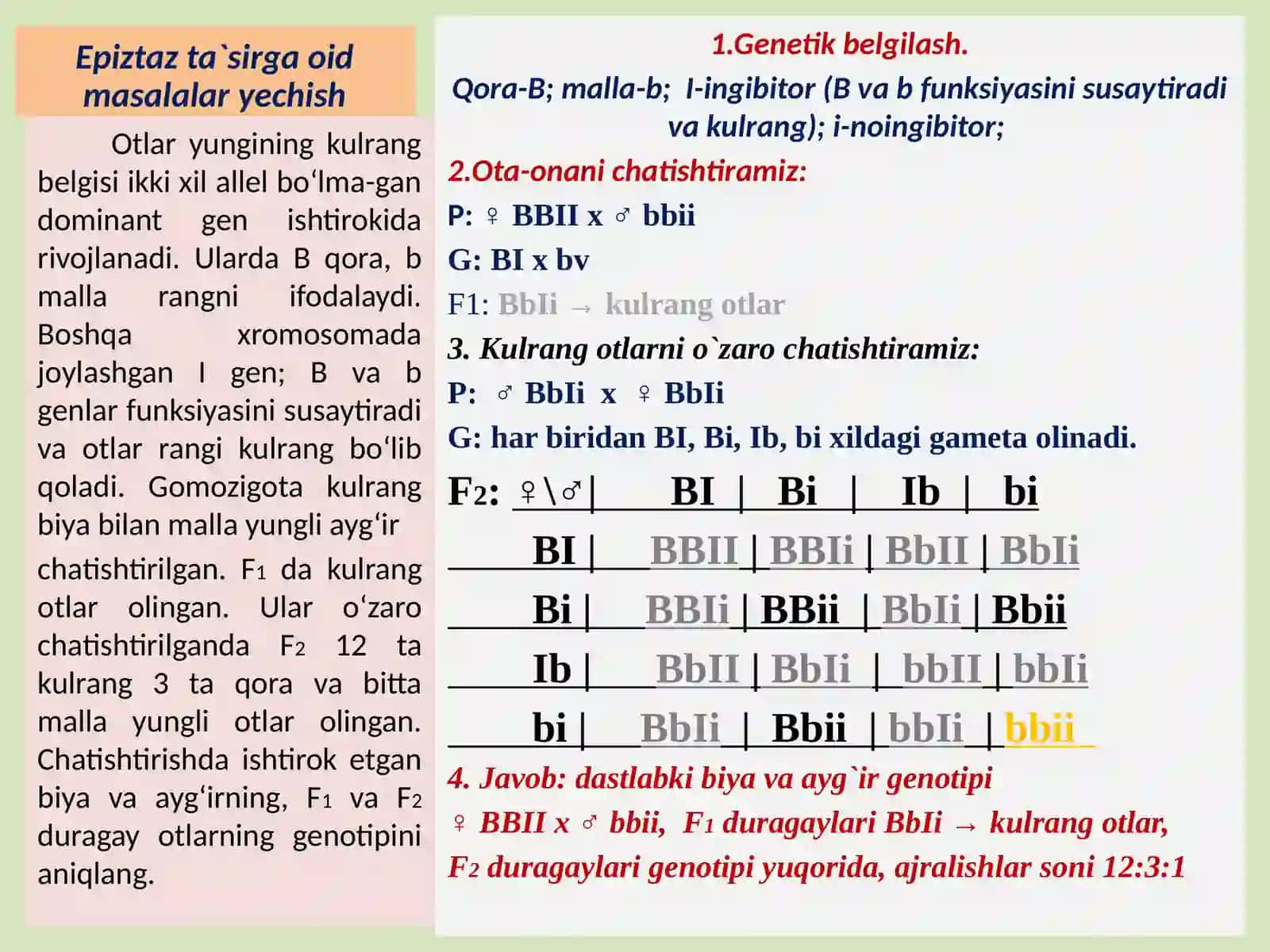 MAKTAB KIMYO-BIOLOGIYA FANI O`QITUVCHISI 4