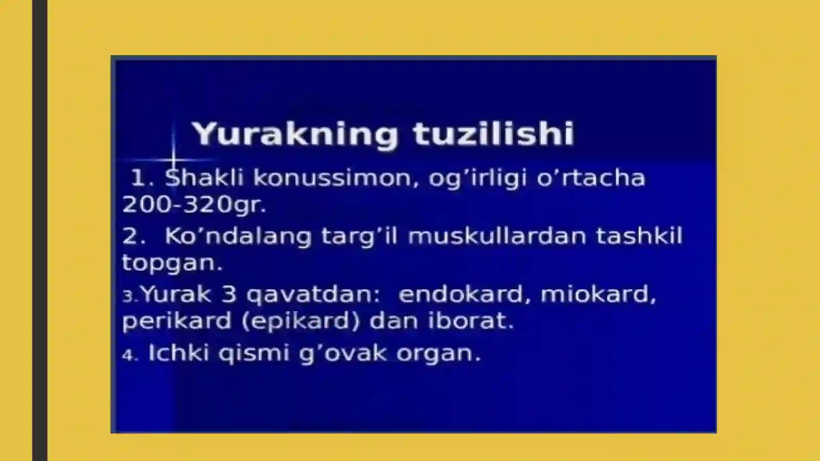 Yurak-qon tomirning anatamo-fiziologik tuzilishi 4