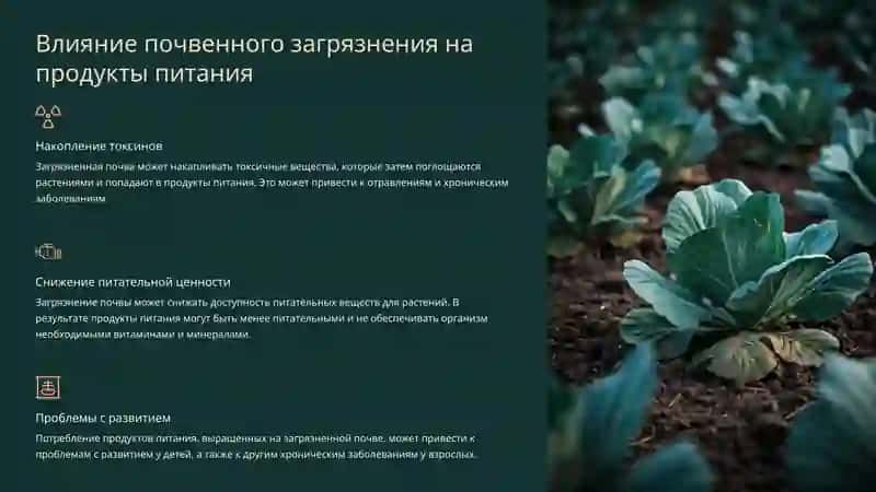 Взаимосвязь здоровья и экологии 4