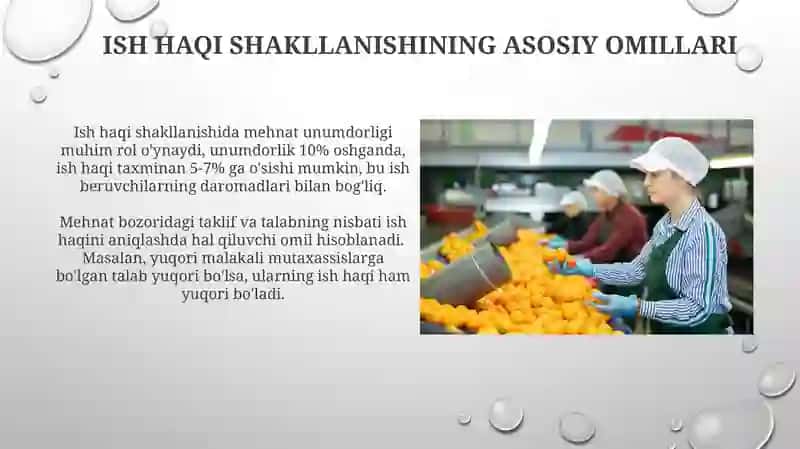 Mehnat bozori va ish haqini shakllanishi 4