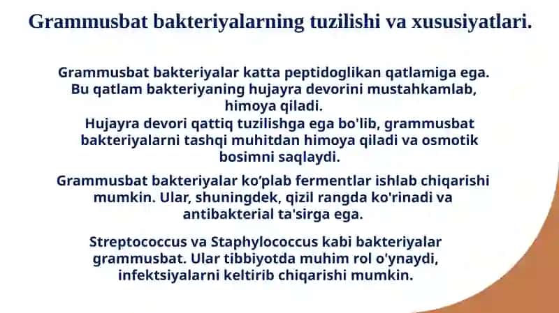 Grammusbat va grammanfiy bakteriyalar tuzilishi 4