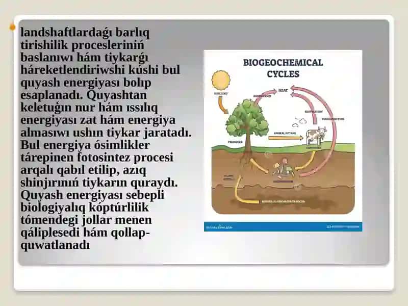 Geografıya tálim baǵdari 2-kursstudentiQoyilbaev Ramazaniń Lanshaftaniw páninen Lanshaftlard zat hám energiya almasiwi hám oniń áhimiyeti temasindaislegen 4