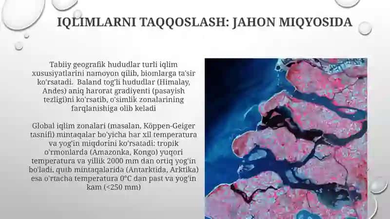 Materiklar tabiiy-geografik rayonlariga qiyosiy tavsif 4